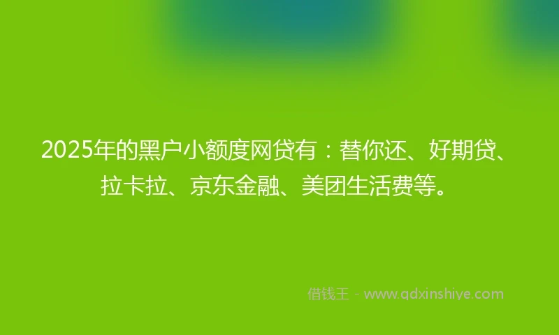 2025年的黑户小额度网贷有：替你还、好期贷、拉卡拉、京东金融、美团生活费等。
