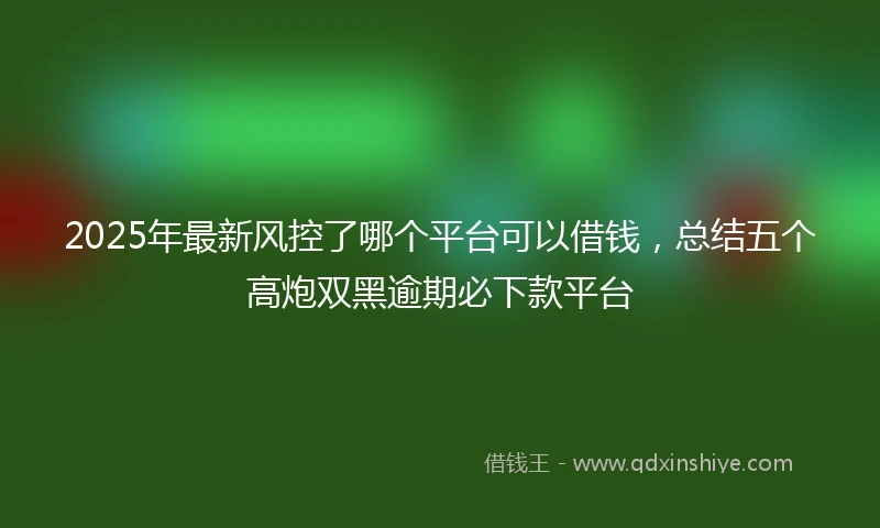 2025年最新风控了哪个平台可以借钱，总结五个高炮双黑逾期必下款平台
