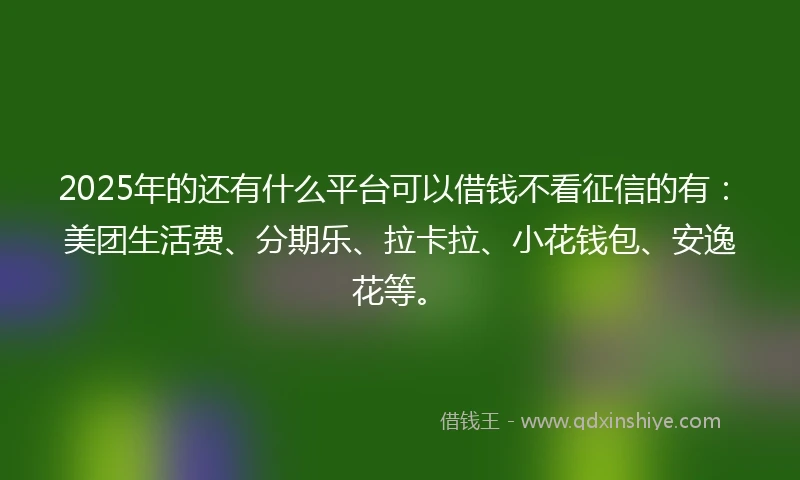 2025年的还有什么平台可以借钱不看征信的有：美团生活费、分期乐、拉卡拉、小花钱包、安逸花等。