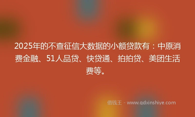 2025年的不查征信大数据的小额贷款有：中原消费金融、51人品贷、快贷通、拍拍贷、美团生活费等。