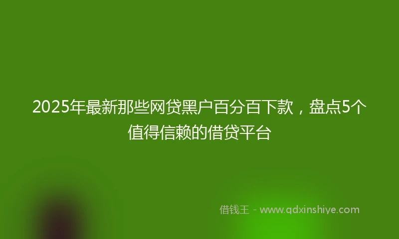 2025年最新那些网贷黑户百分百下款，盘点5个值得信赖的借贷平台