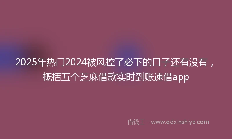 2025年热门2024被风控了必下的口子还有没有，概括五个芝麻借款实时到账速借app