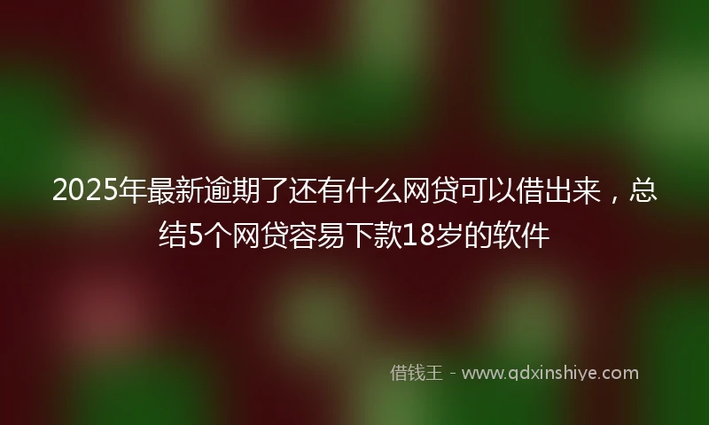 2025年最新逾期了还有什么网贷可以借出来，总结5个网贷容易下款18岁的软件
