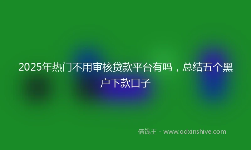 2025年热门不用审核贷款平台有吗，总结五个黑户下款口子