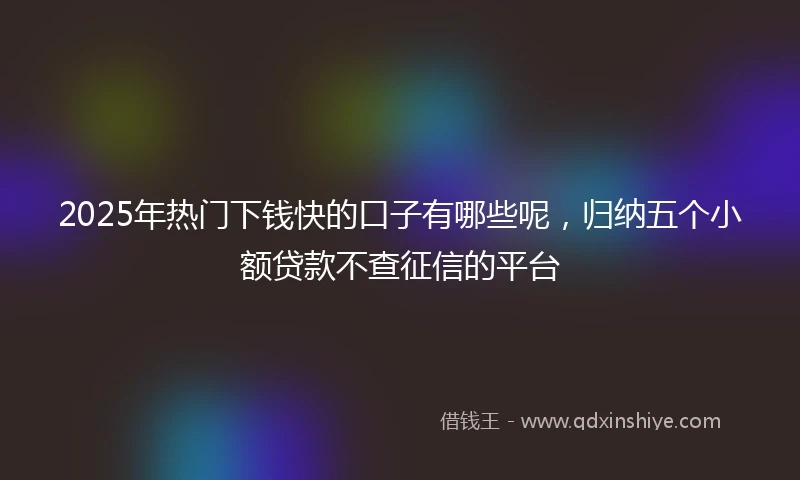 2025年热门下钱快的口子有哪些呢，归纳五个小额贷款不查征信的平台