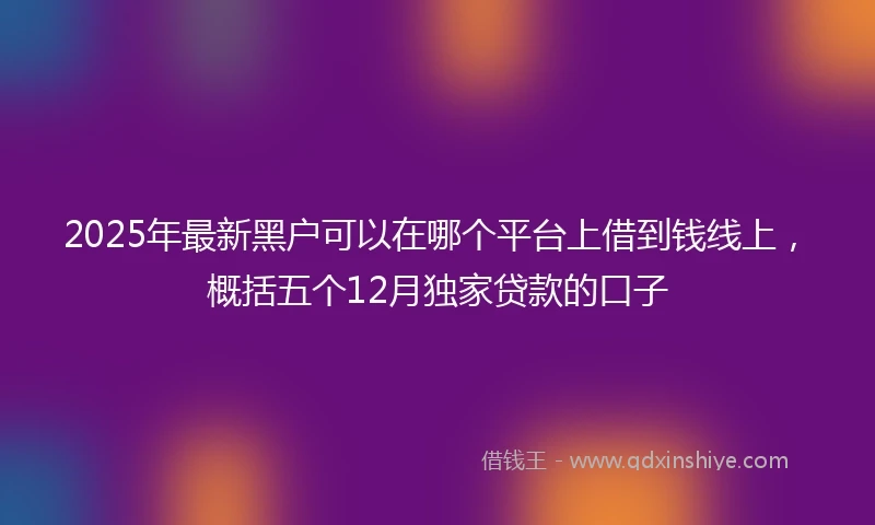 2025年最新黑户可以在哪个平台上借到钱线上，概括五个12月独家贷款的口子