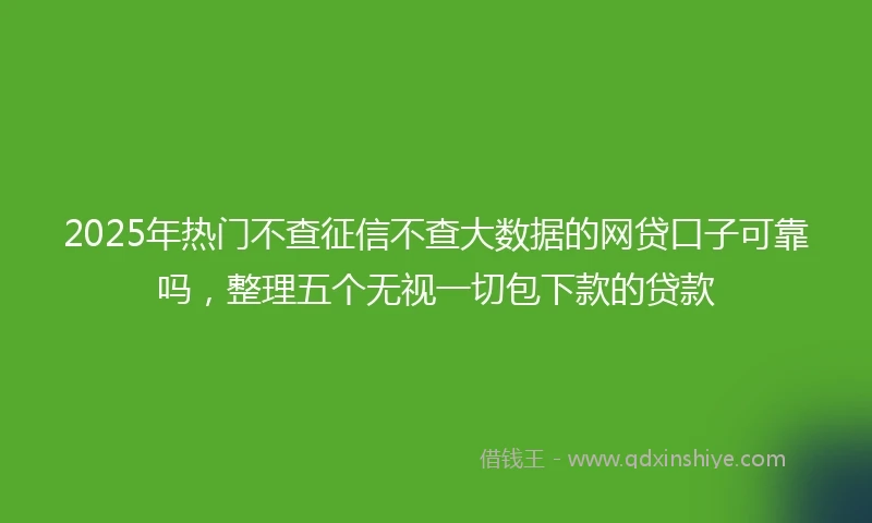 2025年热门不查征信不查大数据的网贷口子可靠吗，整理五个无视一切包下款的贷款