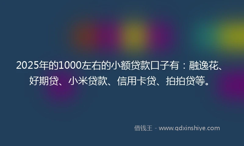 2025年的1000左右的小额贷款口子有：融逸花、好期贷、小米贷款、信用卡贷、拍拍贷等。