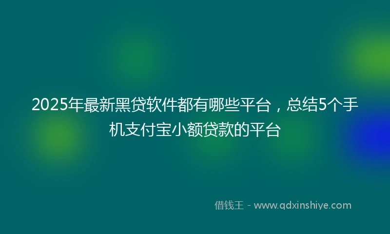 2025年最新黑贷软件都有哪些平台，总结5个手机支付宝小额贷款的平台