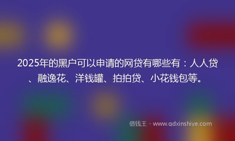 2025年的黑户可以申请的网贷有哪些有：人人贷、融逸花、洋钱罐、拍拍贷、小花钱包等。