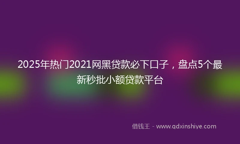 2025年热门2021网黑贷款必下口子，盘点5个最新秒批小额贷款平台