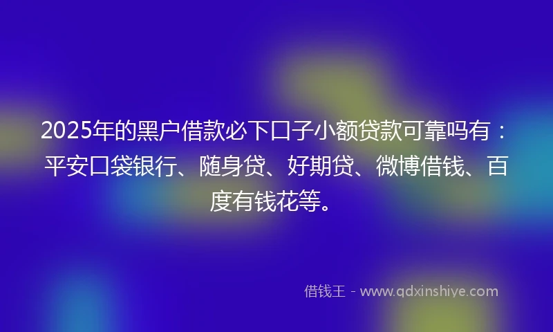 2025年的黑户借款必下口子小额贷款可靠吗有：平安口袋银行、随身贷、好期贷、微博借钱、百度有钱花等。