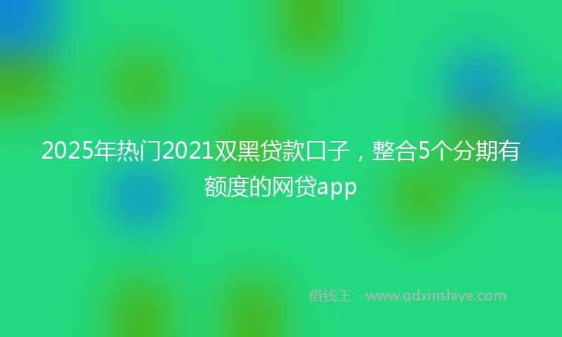 2025年热门2021双黑贷款口子，整合5个分期有额度的网贷app