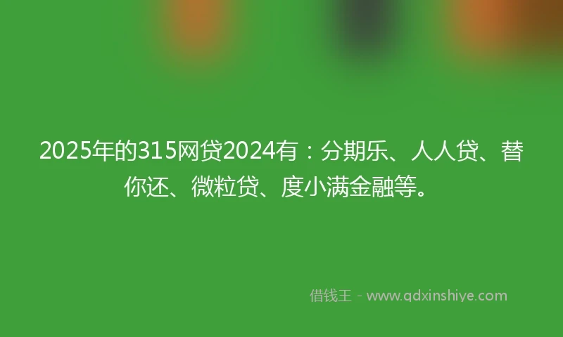 2025年的315网贷2024有：分期乐、人人贷、替你还、微粒贷、度小满金融等。