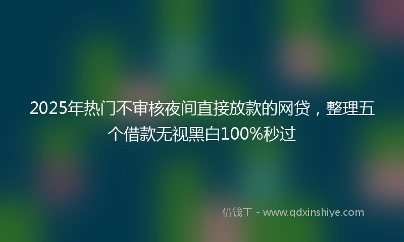 2025年热门不审核夜间直接放款的网贷，整理五个借款无视黑白100%秒过