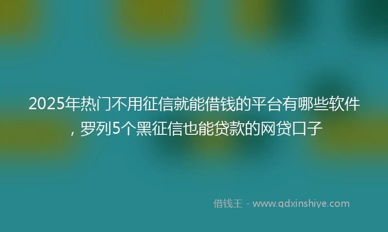 2025年热门不用征信就能借钱的平台有哪些软件，罗列5个黑征信也能贷款的网贷口子