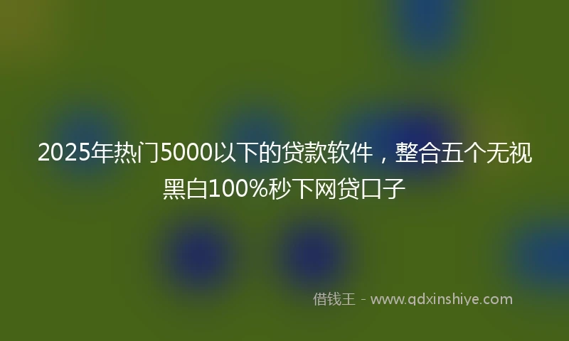 2025年热门5000以下的贷款软件，整合五个无视黑白100%秒下网贷口子