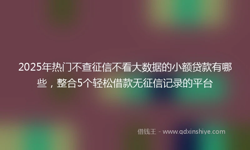 2025年热门不查征信不看大数据的小额贷款有哪些，整合5个轻松借款无征信记录的平台