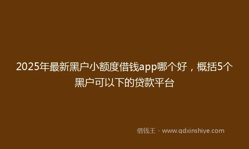 2025年最新黑户小额度借钱app哪个好，概括5个黑户可以下的贷款平台