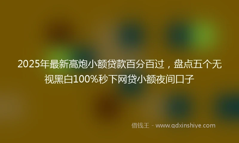 2025年最新高炮小额贷款百分百过，盘点五个无视黑白100%秒下网贷小额夜间口子