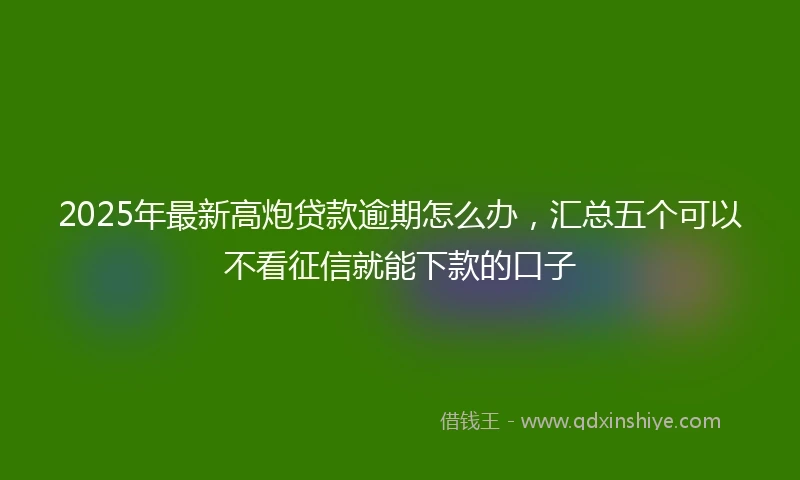 2025年最新高炮贷款逾期怎么办，汇总五个可以不看征信就能下款的口子