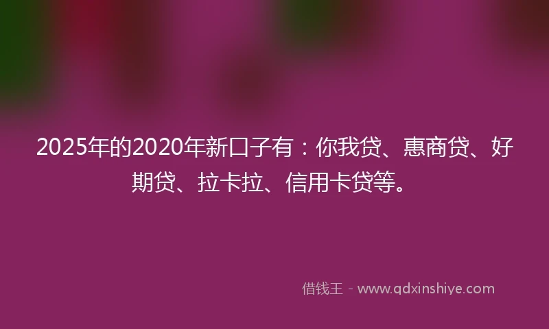 2025年的2020年新口子有：你我贷、惠商贷、好期贷、拉卡拉、信用卡贷等。