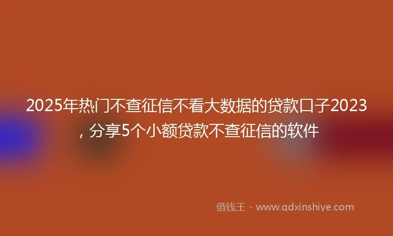 2025年热门不查征信不看大数据的贷款口子2023，分享5个小额贷款不查征信的软件