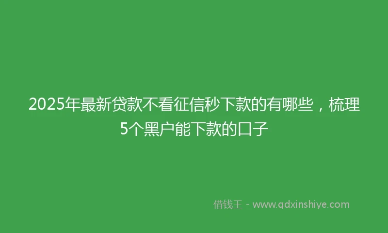 2025年最新贷款不看征信秒下款的有哪些，梳理5个黑户能下款的口子