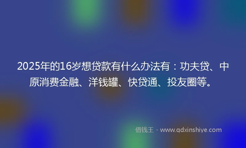 2025年的16岁想贷款有什么办法有：功夫贷、中原消费金融、洋钱罐、快贷通、投友圈等。