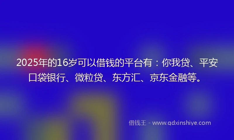 2025年的16岁可以借钱的平台有：你我贷、平安口袋银行、微粒贷、东方汇、京东金融等。
