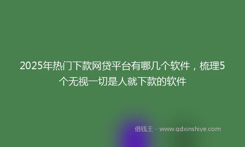 2025年热门下款网贷平台有哪几个软件，梳理5个无视一切是人就下款的软件