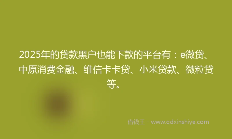 2025年的贷款黑户也能下款的平台有：e微贷、中原消费金融、维信卡卡贷、小米贷款、微粒贷等。