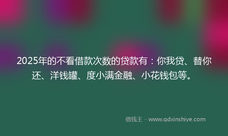 2025年的不看借款次数的贷款有：你我贷、替你还、洋钱罐、度小满金融、小花钱包等。