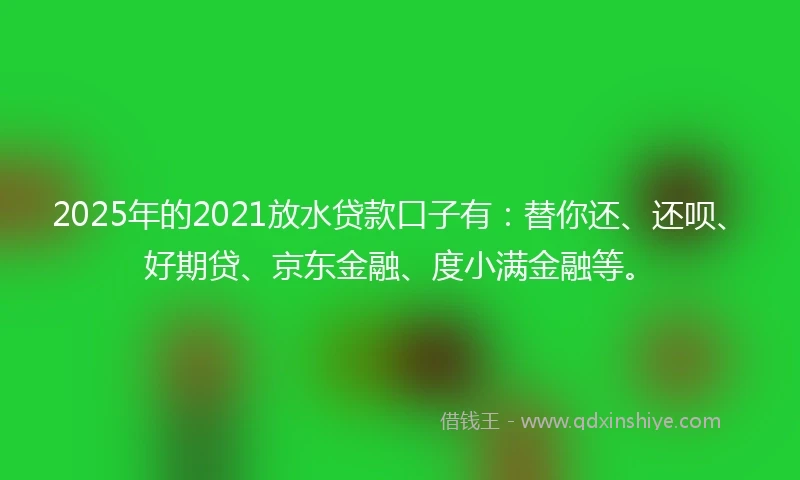 2025年的2021放水贷款口子有：替你还、还呗、好期贷、京东金融、度小满金融等。