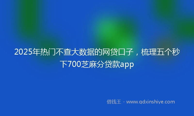 2025年热门不查大数据的网贷口子，梳理五个秒下700芝麻分贷款app