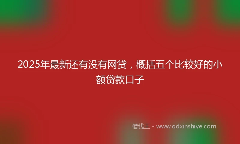 2025年最新还有没有网贷，概括五个比较好的小额贷款口子
