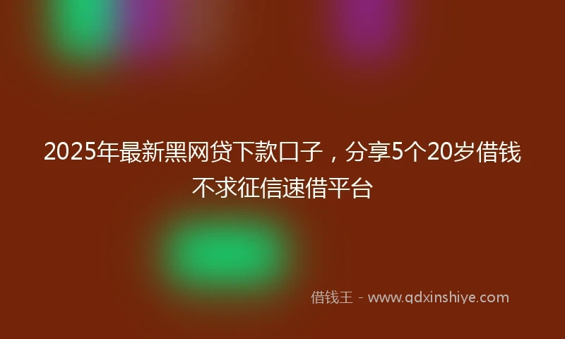 2025年最新黑网贷下款口子，分享5个20岁借钱不求征信速借平台