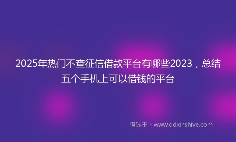 2025年热门不查征信借款平台有哪些2023，总结五个手机上可以借钱的平台