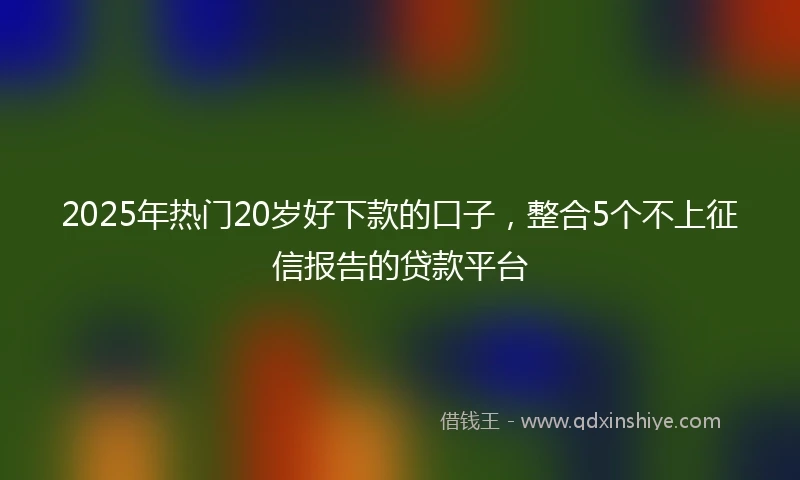 2025年热门20岁好下款的口子，整合5个不上征信报告的贷款平台