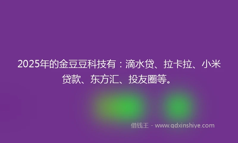 2025年的金豆豆科技有：滴水贷、拉卡拉、小米贷款、东方汇、投友圈等。