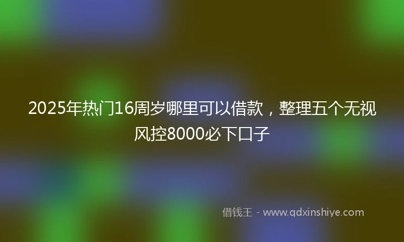 2025年热门16周岁哪里可以借款，整理五个无视风控8000必下口子