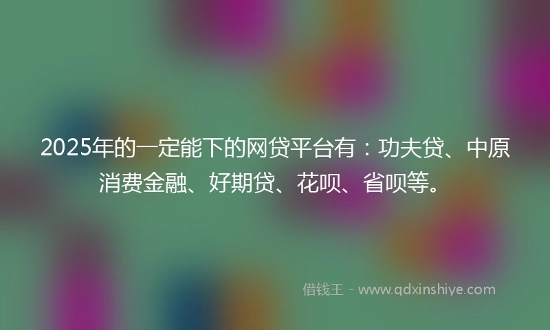 2025年的一定能下的网贷平台有：功夫贷、中原消费金融、好期贷、花呗、省呗等。