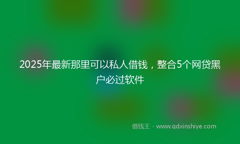 2025年最新那里可以私人借钱，整合5个网贷黑户必过软件