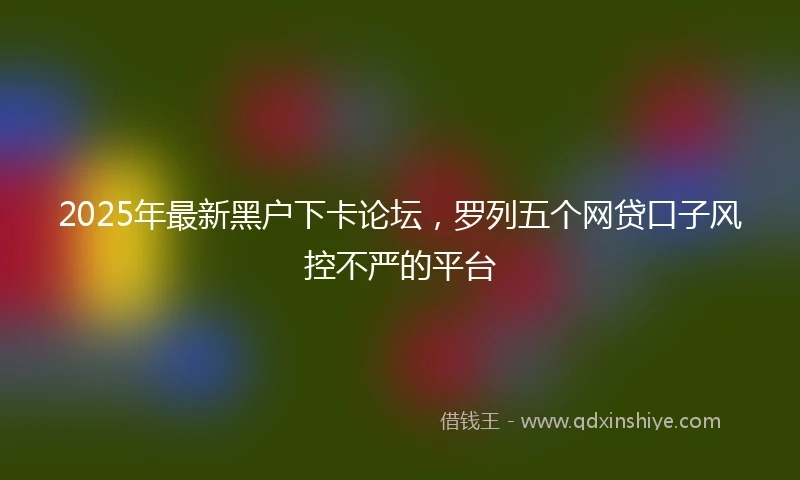 2025年最新黑户下卡论坛，罗列五个网贷口子风控不严的平台