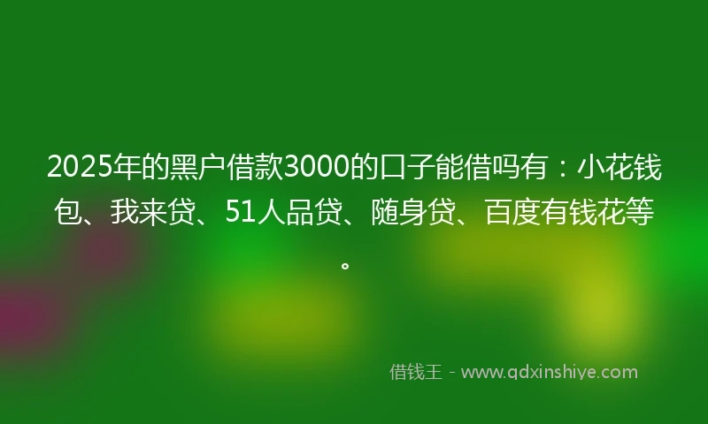 2025年的黑户借款3000的口子能借吗有：小花钱包、我来贷、51人品贷、随身贷、百度有钱花等。