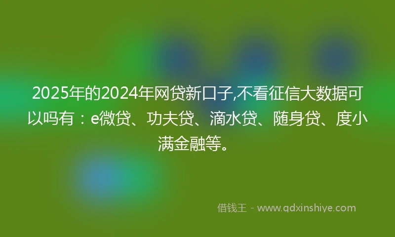 2025年的2024年网贷新口子,不看征信大数据可以吗有：e微贷、功夫贷、滴水贷、随身贷、度小满金融等。