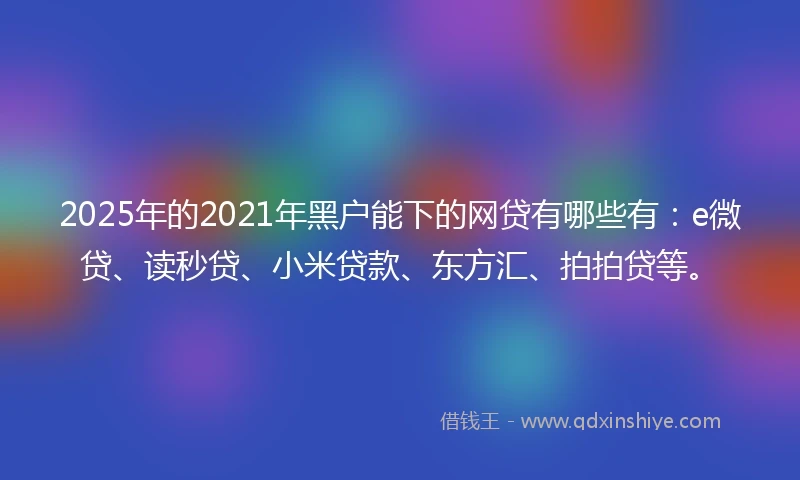 2025年的2021年黑户能下的网贷有哪些有：e微贷、读秒贷、小米贷款、东方汇、拍拍贷等。
