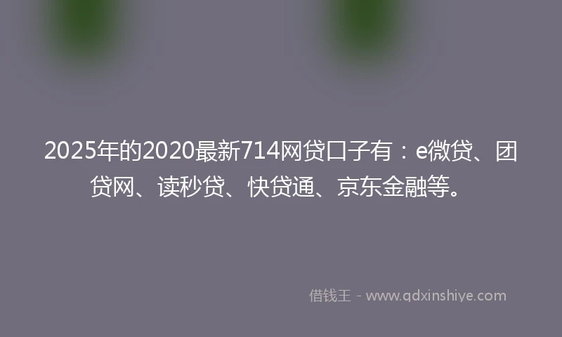 2025年的2020最新714网贷口子有：e微贷、团贷网、读秒贷、快贷通、京东金融等。
