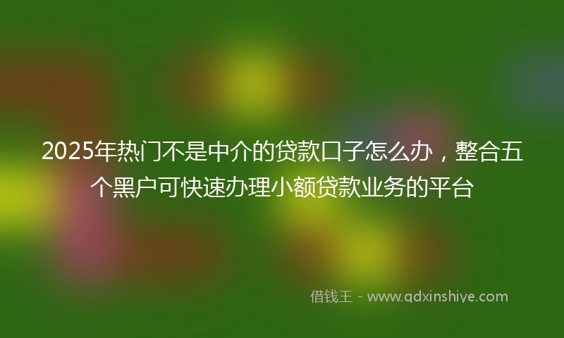 2025年热门不是中介的贷款口子怎么办，整合五个黑户可快速办理小额贷款业务的平台