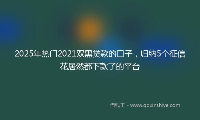 2025年热门2021双黑贷款的口子，归纳5个征信花居然都下款了的平台